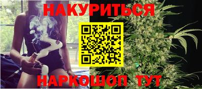 прущие грибы Краснодар