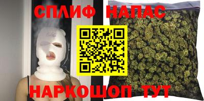 прущие грибы Краснодар