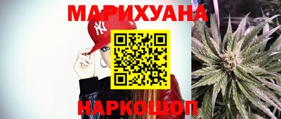 прущие грибы Краснодар