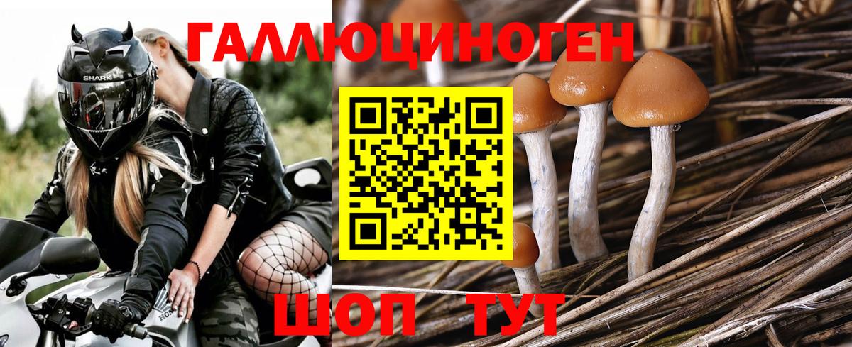 Каменск-Уральский  Галлюциногенные грибы мицелий  Вход с VPN 