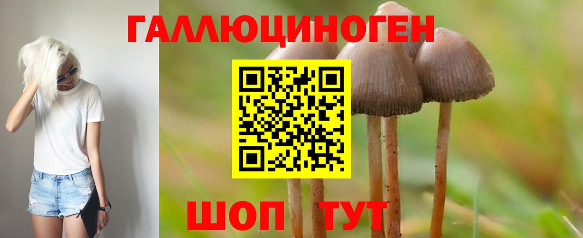 Псилоцибиновые грибы Psilocybine cubensis Каменск-Уральский